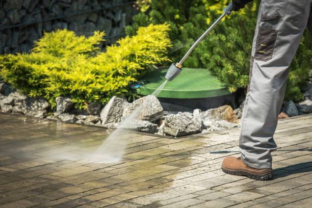 Best Solar Panel Cleaning  in Salmon, ID